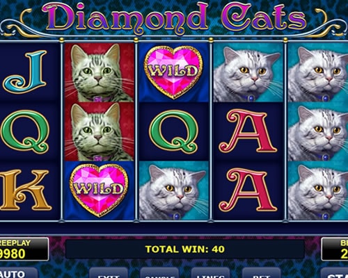 Diamond Cats