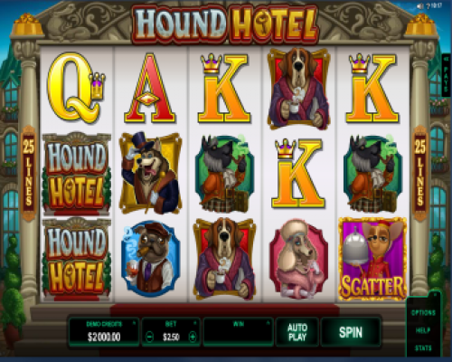 Hound Hotel 